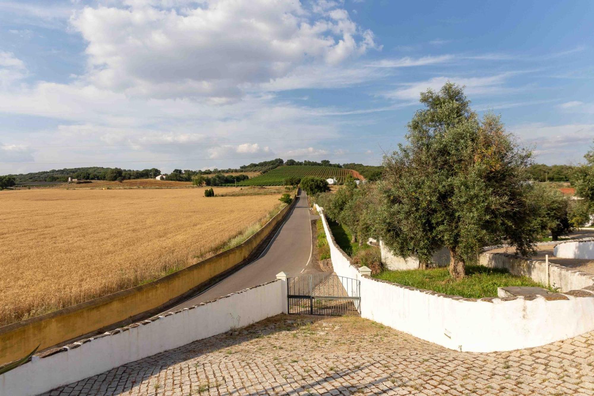 Monte Das Oliveiras - Casas De Campo Estremoz Eksteriør bilde